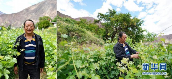 （脱贫攻坚·图片故事）（9）藏东大地脱贫影像